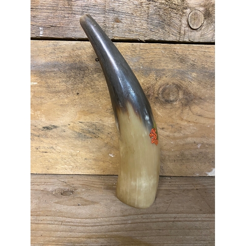 296 - Hand Painted Rams Horn