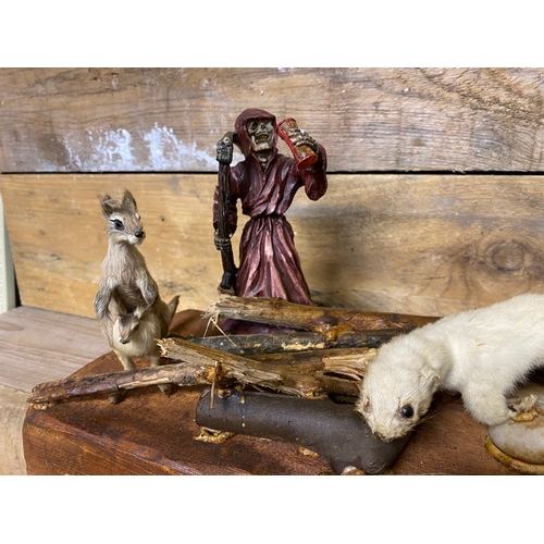 304 - Taxidermy Diorama on Wooden Base, creative license has been used to produce this eccentric display p... 