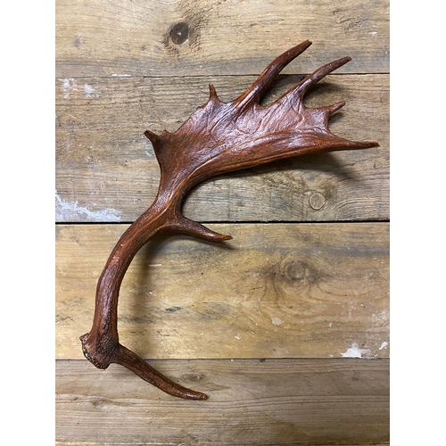 141 - Elk Antler