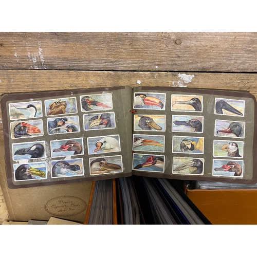 173 - Large Collection of Cigarette Cards in Albums, Books and Loose, Several Complete Sets.