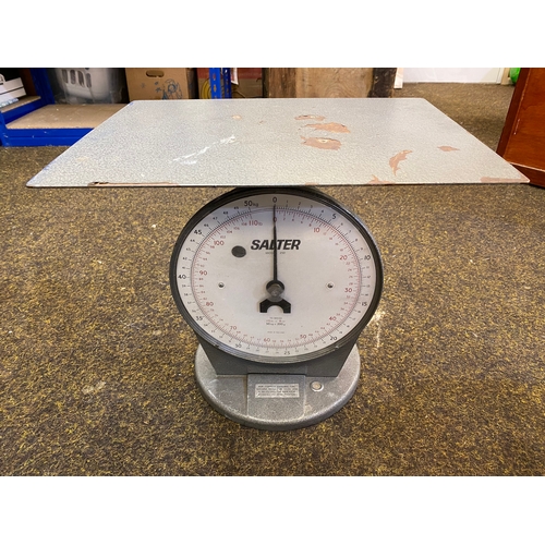 138 - Large Salter Scales