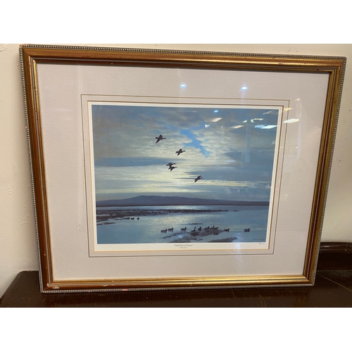 168 - Framed Picture 'Mallards at Dawn' Print by Peter Scott (55x45cm)