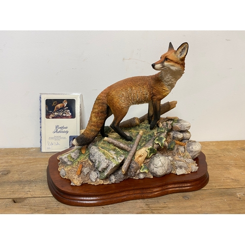 43 - Border Fine Arts Fox ‘The Last Look’ with certificate