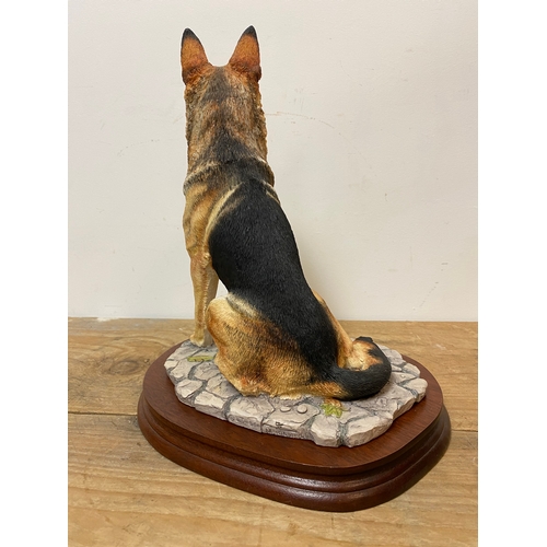 44 - Boarder Fine Arts Large German Shepherd Figure