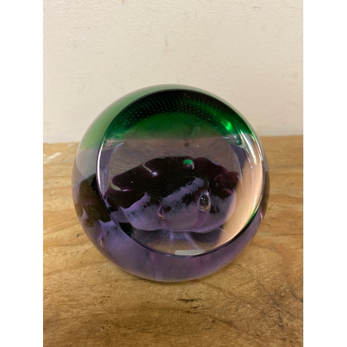 106 - Caithness Art Glass Paperweight ‘Incognito’ 70/650