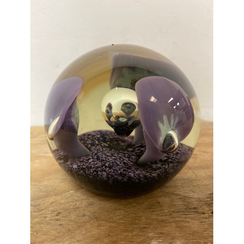 111 - Caithness Art Glass Paperweight 1975 ‘Tropicana’ by Peter Holmes 315/500