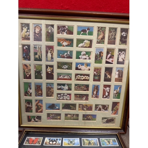 271 - Two sets of framed collectable cigarette card.