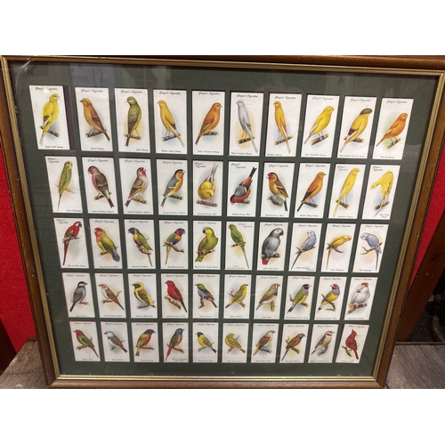 272 - 2 Framed sets of cigarette cards one of birds the othe of famous horses