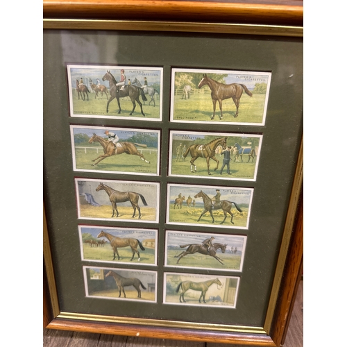 272 - 2 Framed sets of cigarette cards one of birds the othe of famous horses