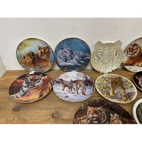 330 - Collection of 12x Picture Plates of Tigers including Coalport and Royal Doulton