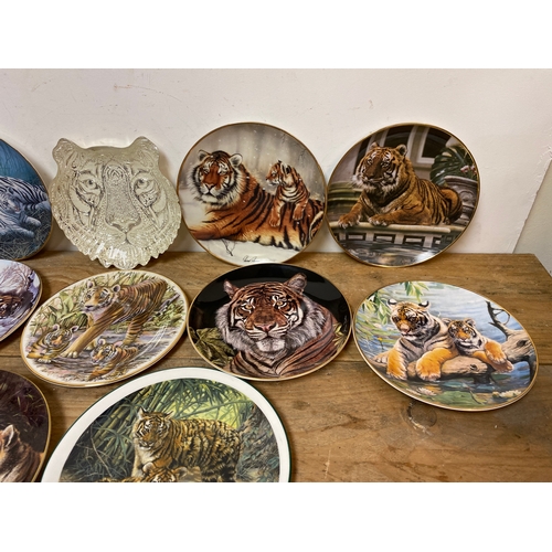 330 - Collection of 12x Picture Plates of Tigers including Coalport and Royal Doulton