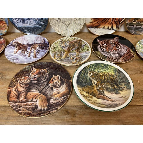 330 - Collection of 12x Picture Plates of Tigers including Coalport and Royal Doulton