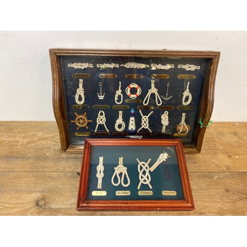 65 - Cased Collectable Knots Mounted