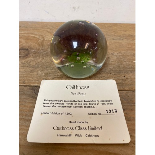 109 - Caithness Limited Edition Glass Paperweight 1975 ‘Sea Kelp’ 1313/1500