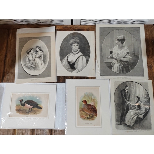 29 - Collection Of Vintage Prints