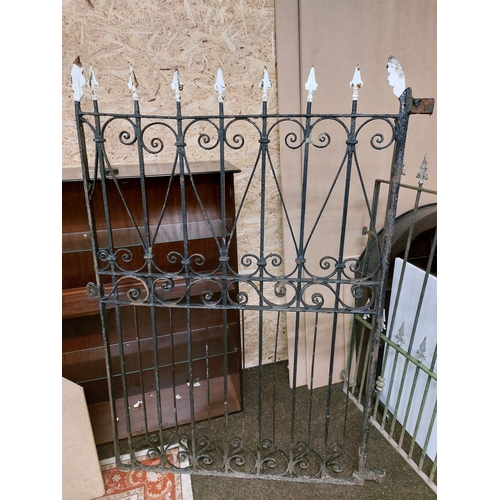 130 - Ornate Design Wrought Iron Gate. App 60
