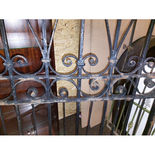 130 - Ornate Design Wrought Iron Gate. App 60