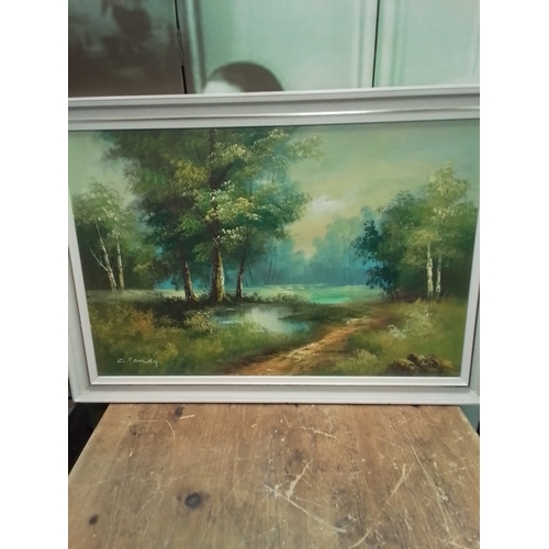 28 - Beautiful oil on canvas painting of a forest. Width  102cm, height 71cm. Signed by the artist C.Sand... 