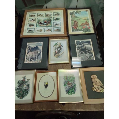 30 - Beautiful collection of framed animal prints