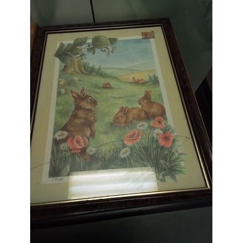 30 - Beautiful collection of framed animal prints