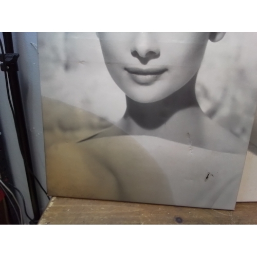 9 - 3  mounted prints of Audrey Hepburn