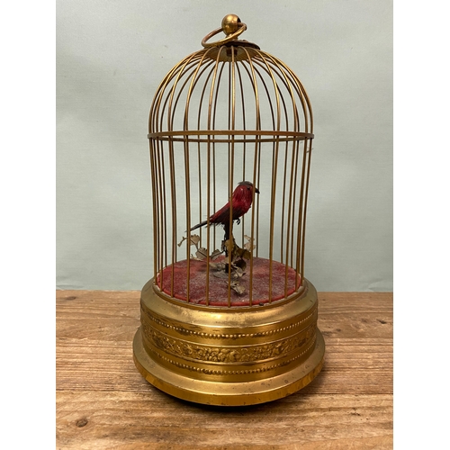 43 - Singing Bird in Cage Automaton