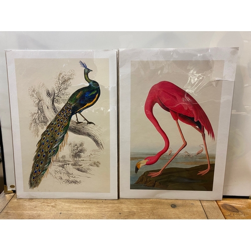 Lot 22        