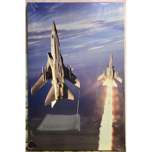 16 - Pair of Canvas Art Prints. 55x35cm