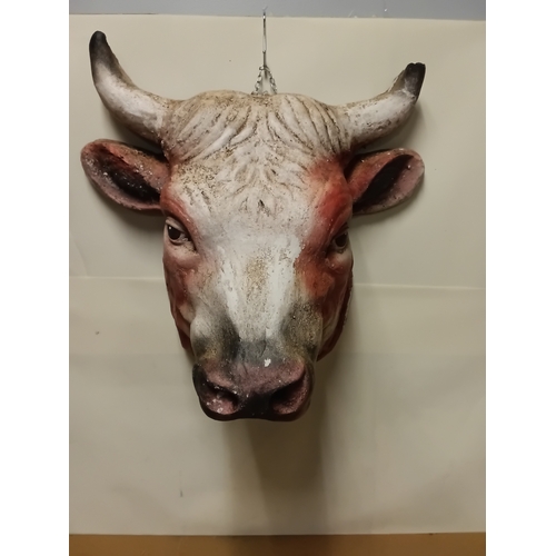78 - Large Vintage bull's head 27 x 25 inches