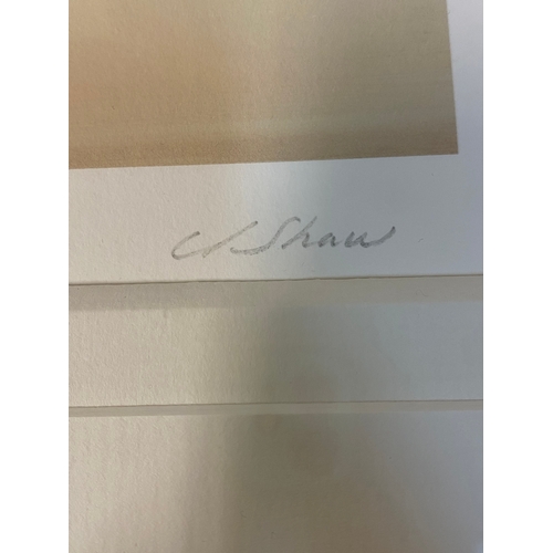 17A - Signed Limited Edition Prints of 195 - Vanilla Skies I & III