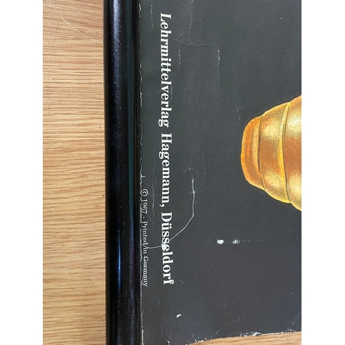 180 - German Anatomy of a Fly Poster 1967 Jung Koch Quentell