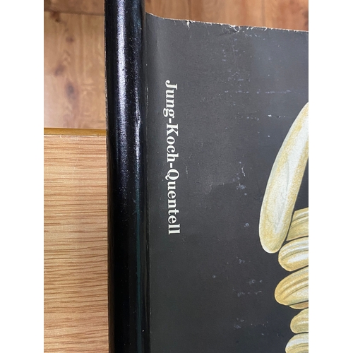 180 - German Anatomy of a Fly Poster 1967 Jung Koch Quentell