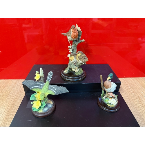 Lot 96        