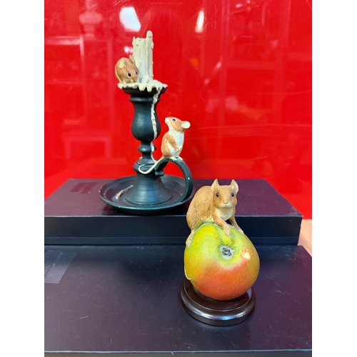 Lot 97        