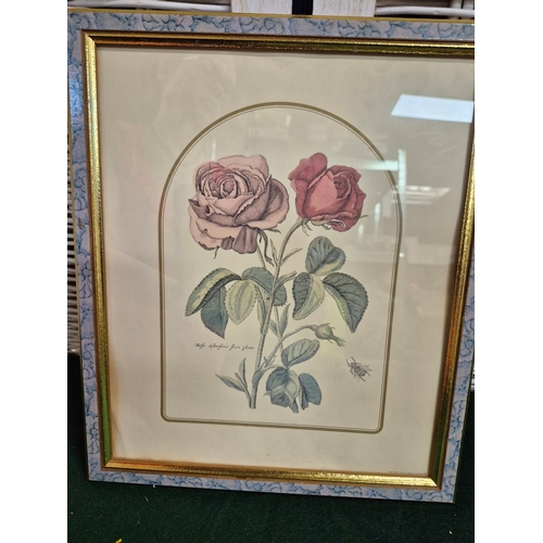Lot 5         