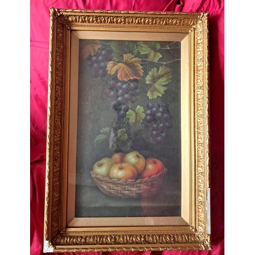 Lot 24        