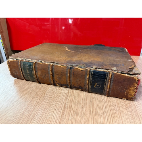 Lot 49        