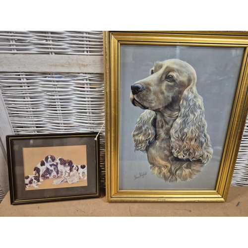 Lot 20        