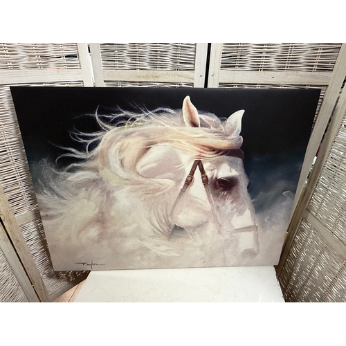 Lot 16        