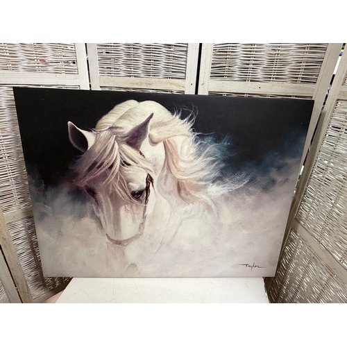 Lot 17        