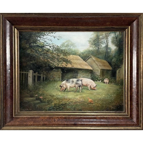 1212 - Maggie Barton: pigs and chickens grazing before barns, oil on board, signed in burr finished and gil... 