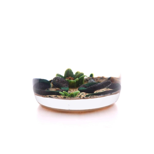 11 - William Manson, a snake paperweight having two green snakes over sand ground with green rocks and fl... 