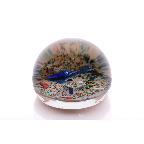 16 - William Manson (Son), a rare 1/1 edition fish paperweight having blue fish over multicoloured ground... 