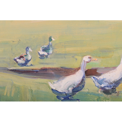 1218 - † Nina Hill (1877 - 1970), Ducks on Shamley Green, signed, oil on canvas, 51 x 76 cm, framed, frame ... 