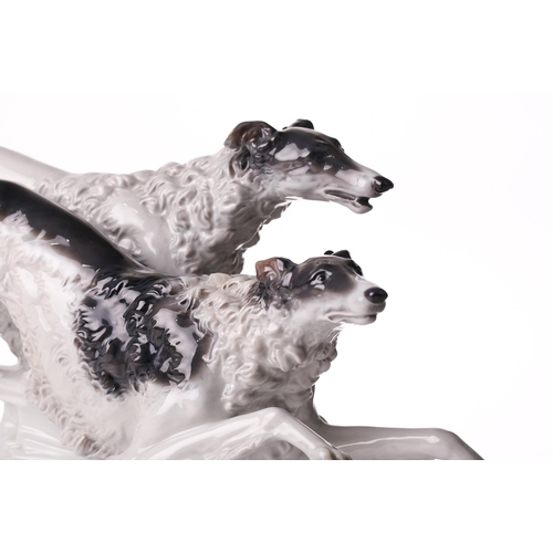 1264 - A Rosenthal porcelain figure of two Borzoi Wolfhounds racing, on an oval base, 61cm long