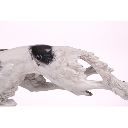 1264 - A Rosenthal porcelain figure of two Borzoi Wolfhounds racing, on an oval base, 61cm long