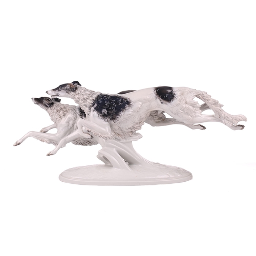 1264 - A Rosenthal porcelain figure of two Borzoi Wolfhounds racing, on an oval base, 61cm long