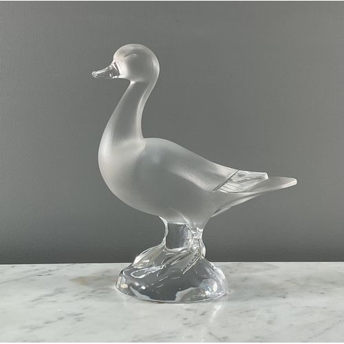 1300 - A Lalique glass duck sculpture being partially frosted and signed 'Lalique France' to base, 24cm Goo... 