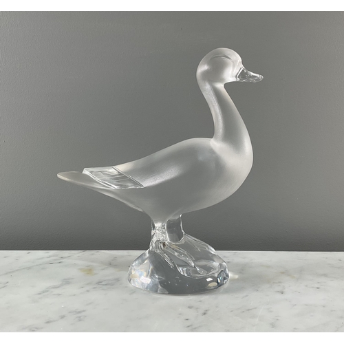 1300 - A Lalique glass duck sculpture being partially frosted and signed 'Lalique France' to base, 24cm Goo... 