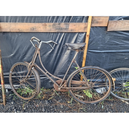 Lot 17        